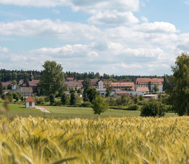 Bild von Stiftung St. Franziskus