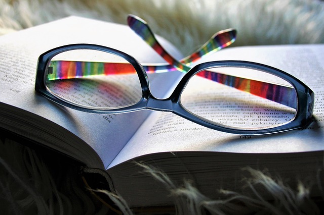 Optik Strigl