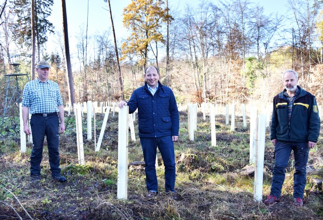 1000 Bäume für 1000 Kommunen