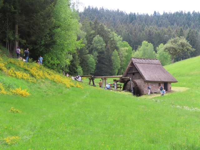 Führungen in der "Mooswaldmühle" in Lauterbach