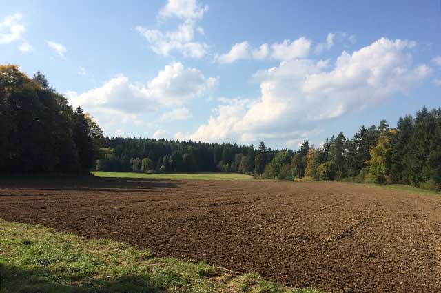 Natur Felder bei Rottweil