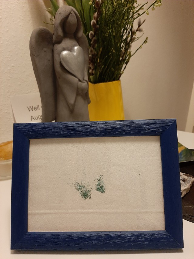 Schmetterling
