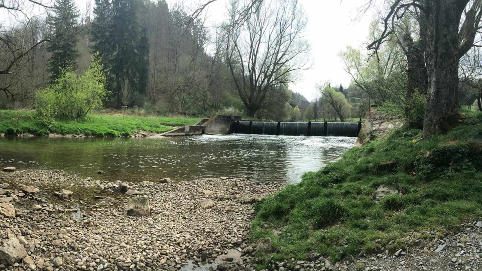 Bach an der Neckarburg 2