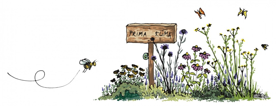 Garten - Prima Klima