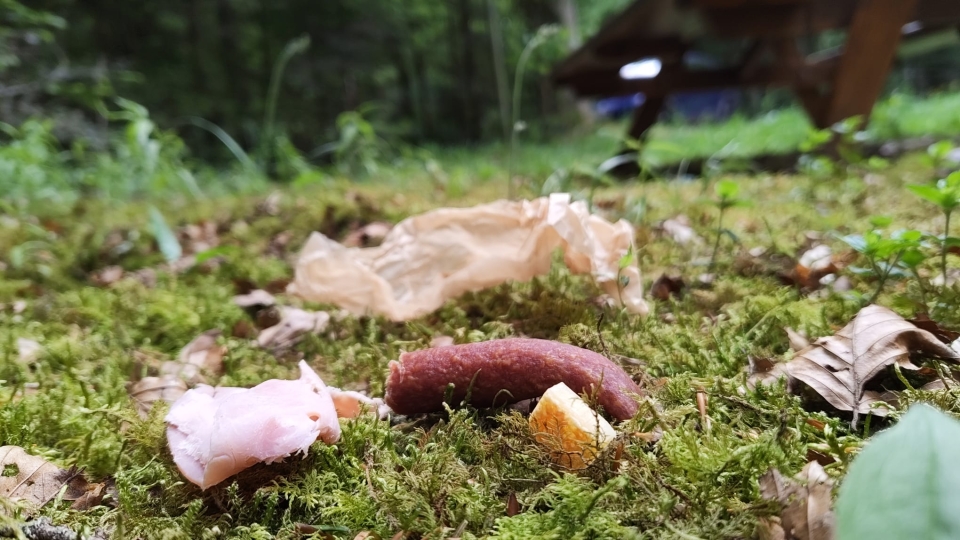 Grillspaß mit Verantwortung – Warum Essensreste nichts im Wald zu suchen haben