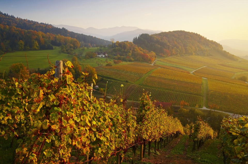 Herbst im Schwarzwald