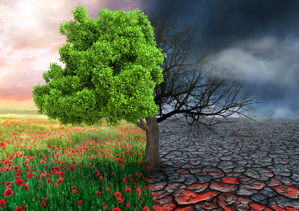 Klimawandel