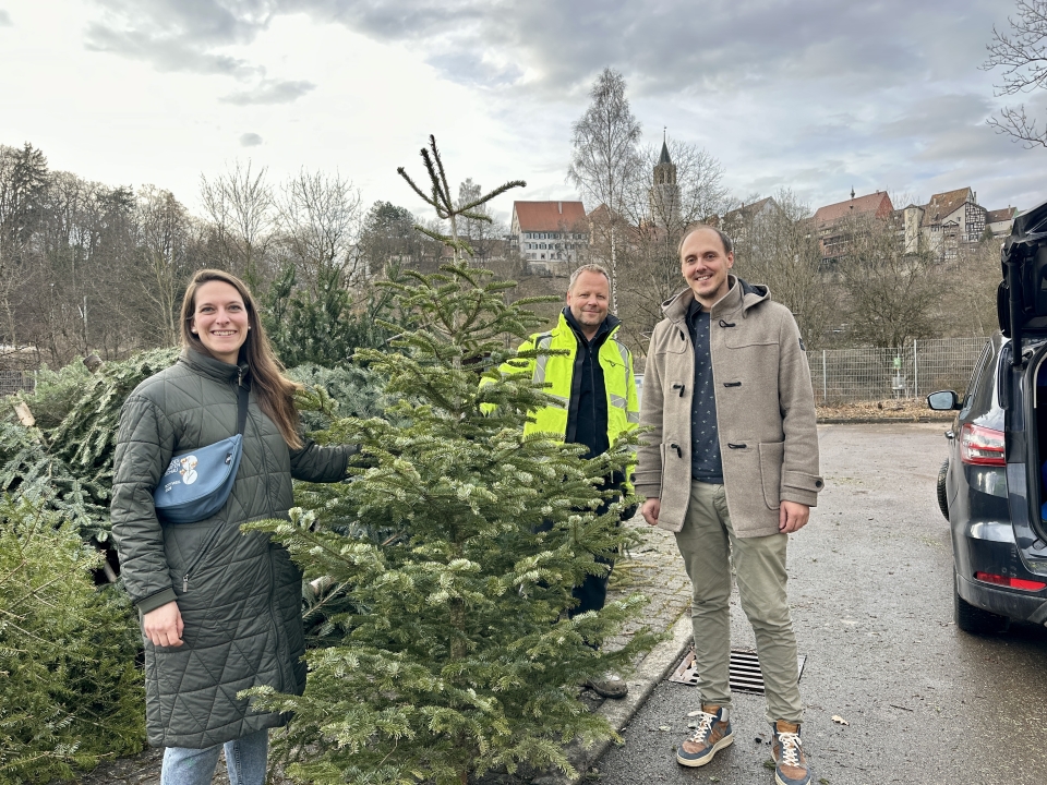 Landesgartenschau 2028 sammelt erfolgreich Weihnachtsbäume für den Neckar