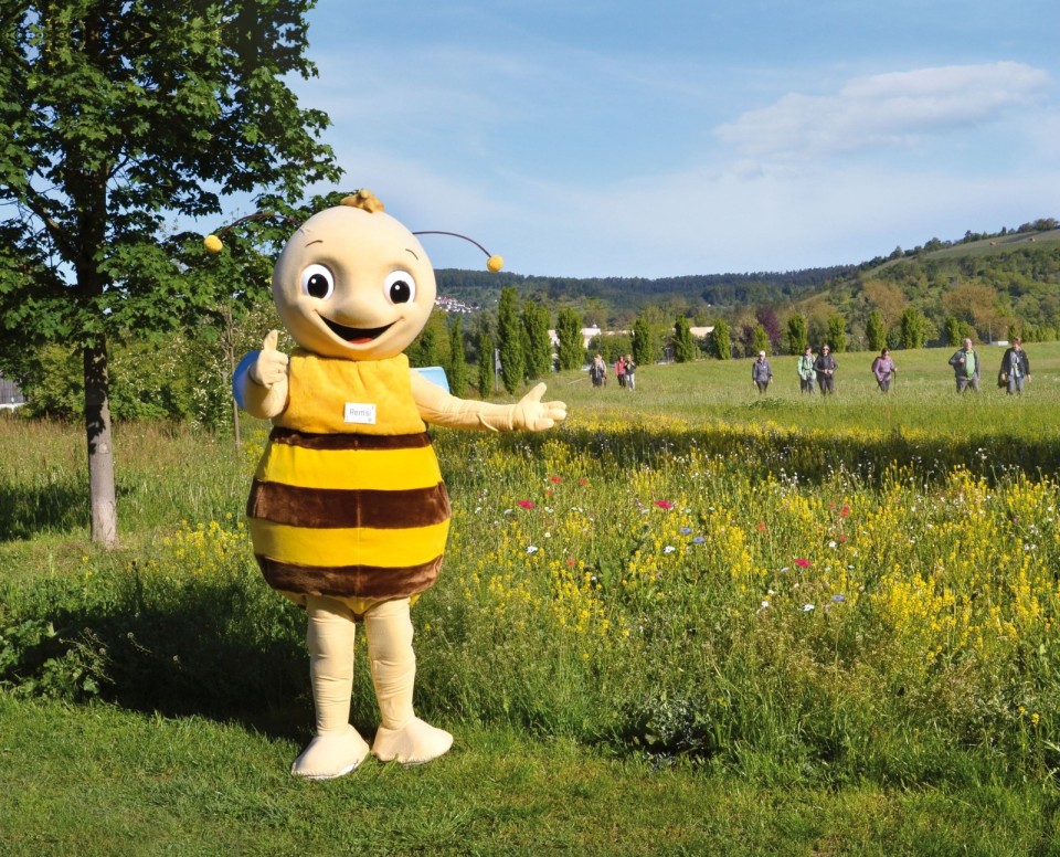 Maskottchen Remsi