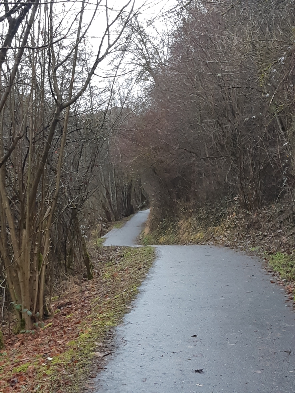 Neckarweg