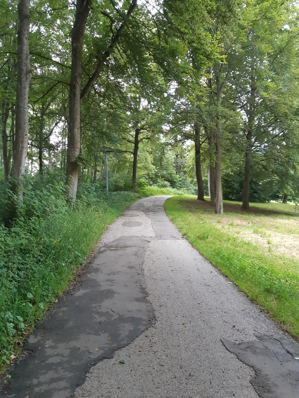 rückkehrdesfrühlings