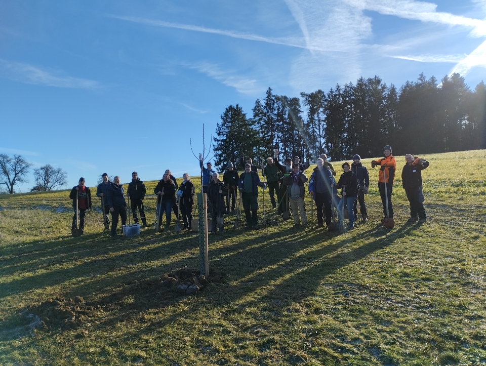 Streuobst für die Brennerei