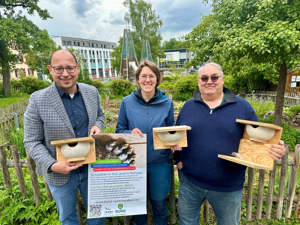 Tag der Artenvielfalt: Stadt Rottweil unterstützt Schwalbenschutz