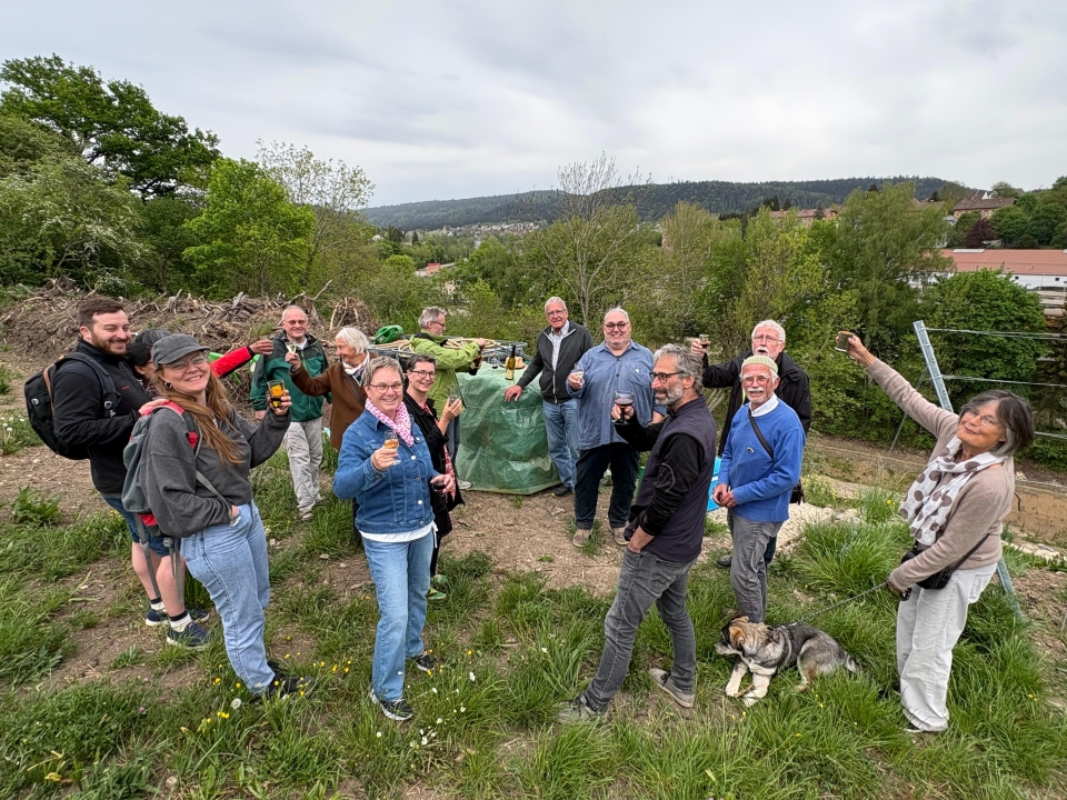 Weinreben am Schwarzen Felsen wachsen „wie verrückt“