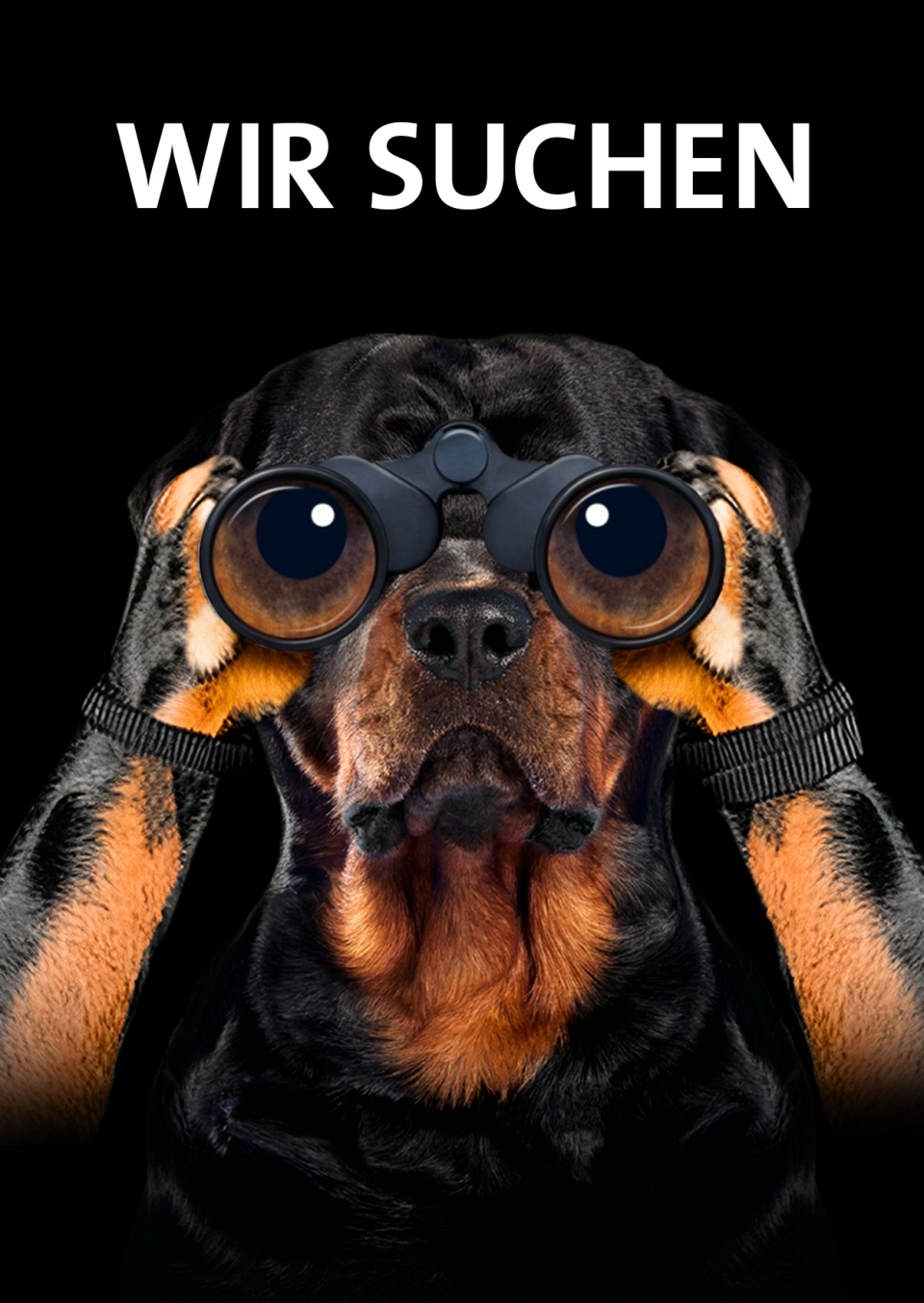 Wir suchen